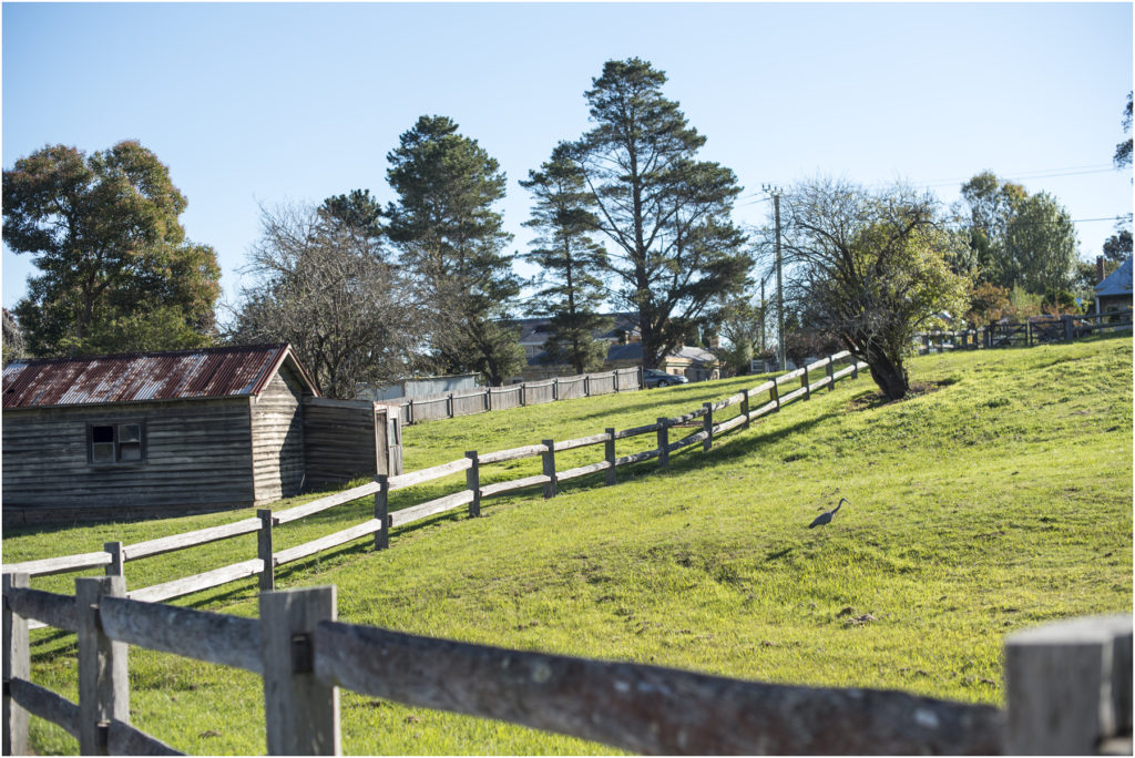 Camden Family Photography, Camden newborn photographer, Family photography macarthur, Angie Duncan Photography, www.angieduncan.com.au
